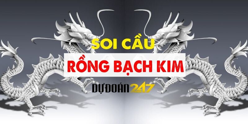 Sơ qua về soi cầu rồng bạch kim 247