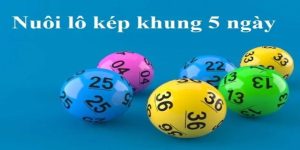 Bạch Thủ Lo Kép Khung 5 Ngày: Bí Quyết Chơi Hay Cùng Soi Cầu 247 