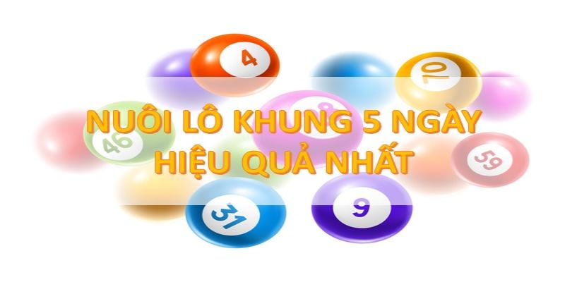 Cac ưu điểm nổi bật của bạch thủ lo kép khung 5 ngày 