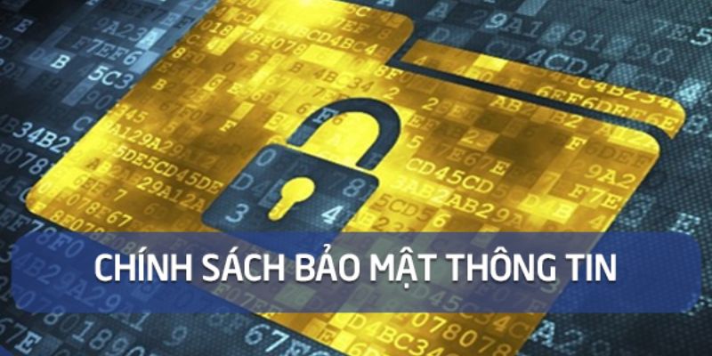 Thông tin về việc sử dụng dữ liệu khách hàng