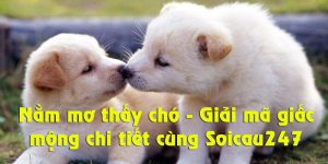 Nằm mơ thấy chó - Giải mã giấc mộng chi tiết cùng Soicau247