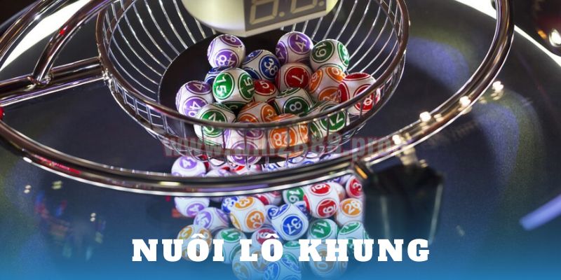 Nuôi lô khung - Cách chơi và hướng dẫn siêu chi tiết 2024