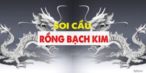 Rồng Bạch Kim - Soi Cầu Chốt Số Chính Xác, Săn Thưởng Khủng