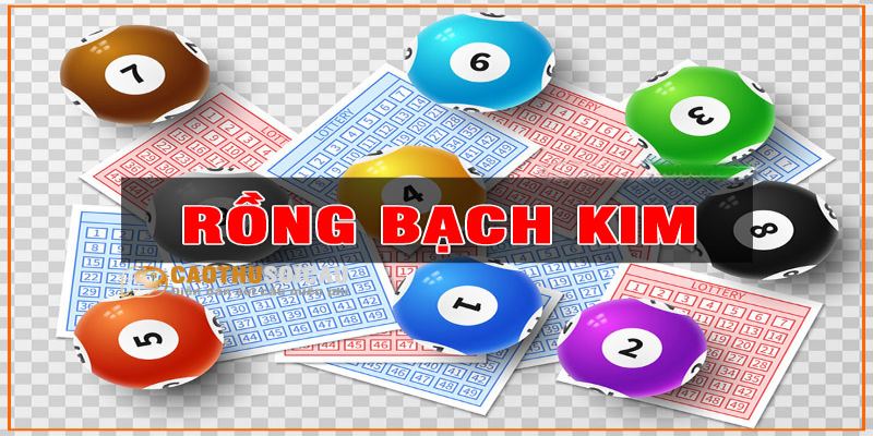 Rồng bạch kim là trang web dành cho những tay chơi đam mê lô đề