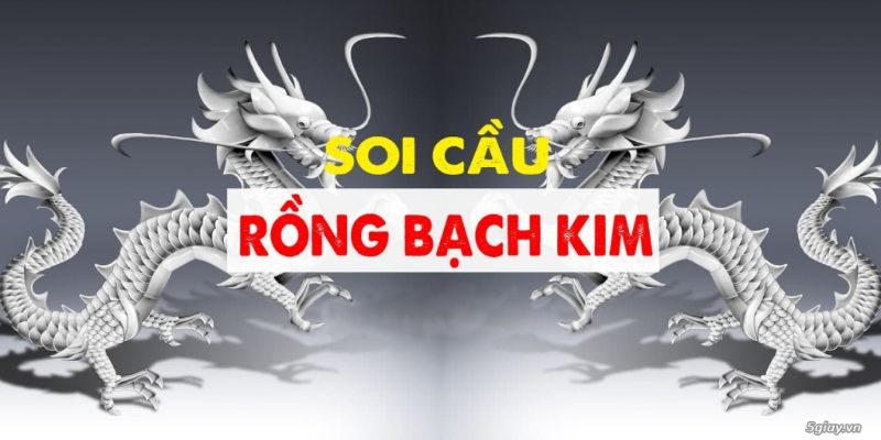 Điểm lại những ưu điểm vượt trội mà Rồng bạch kim có 