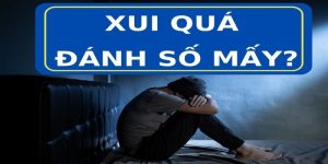 Xui Quá Đánh Số Mấy? Gợi Ý Số Đẹp Xua Tan Vận Đen